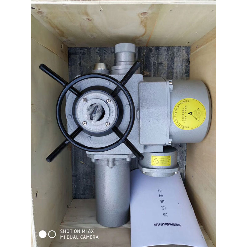 电动头螺旋杆启闭机